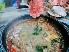 -小小河边鱼·黄辣丁鲜鱼锅(黎阳店)