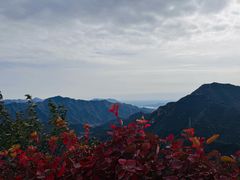 -大岭沟猕猴桃谷风景区