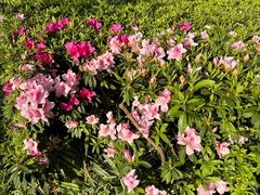 -重庆风光老灶火锅城(同德广场店)