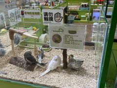 -凯德MALL(望京店)