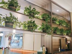-刘胖子家常菜·蹄花焖藕(中南店)