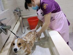 -暖阳宠物医院·犬猫康复中心·骨科