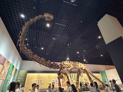 -衢州市博物馆