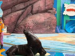 -海合安成都极地海洋公园