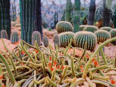 -上海辰山植物园