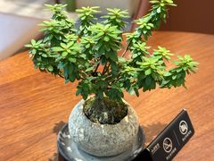 -小西家作•精致蛋糕(富力爱丁堡店)