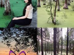 -艾溪湖湿地公园