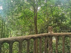-乐山大佛风景名胜区乌尤寺南门-售票点