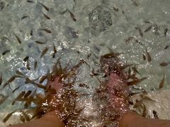 -果裹水汇(帅府店)