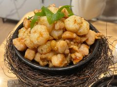 -丁老爷子苏香圆