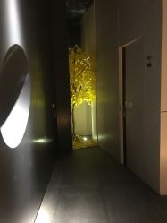 -美壹生诊所皮肤管理中心·海菲秀&Legacy美白舱