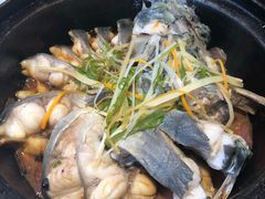 旱蒸剑齿鱼-桂客膳房·珍品堂