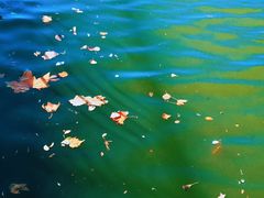 -天津东丽湖风景区