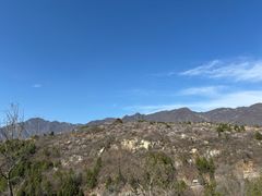 -白水寺森林公园