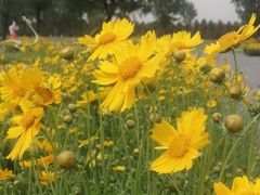 -汉长安城未央宫国家考古遗址公园