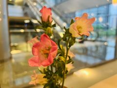 -松鹤楼·非遗·苏帮菜(融科店)