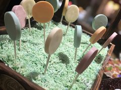 -上海东方佘山翰悦阁酒店·Vie全日制餐厅