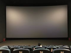 -CGV影城(壹方城IMAX店)