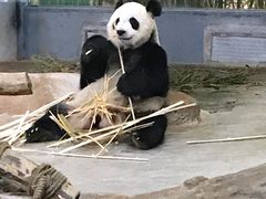 -海南热带野生动植物园