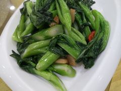 -姚林轩