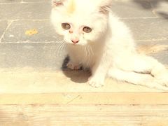 -百里峡七彩艺术小镇