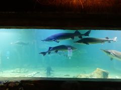 -华夏文旅西安度假区