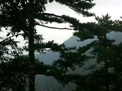 -山沟沟景区