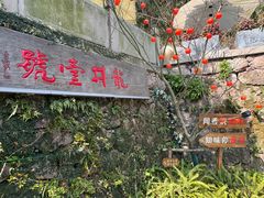 -龙井壹号·茶缘山景宴(龙井村店)