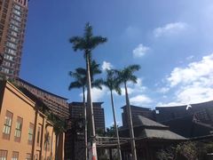 -三亚湾红树林度假世界(木棉酒店)
