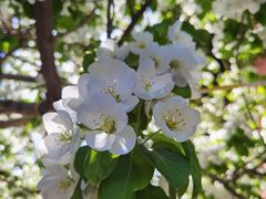-大觉寺-停车场