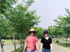 -上海海湾国家森林公园