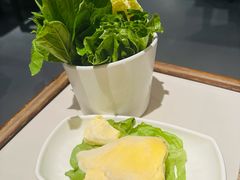 -百年果林椰子鸡(宝安总店)