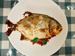 红烧金鲳鱼-紫光园(劲松店)