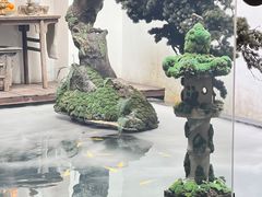 -觀芷隐轩