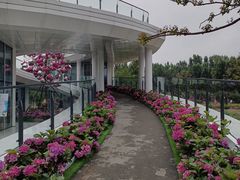-府河摄影公园