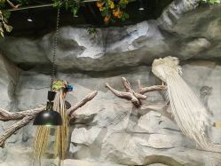 -Zoolung Zoolung动物主题公园(海信广场店)