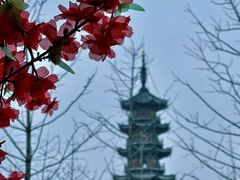 -龙华寺
