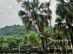 -重庆海昌加勒比海水世界
