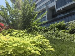 -西安电影制片厂