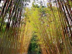 -木守西溪溪隐餐厅