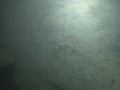 -白鹤梁水下博物馆