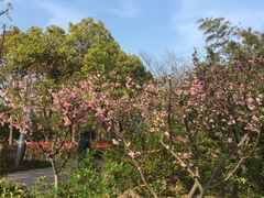 -新江湾城公园