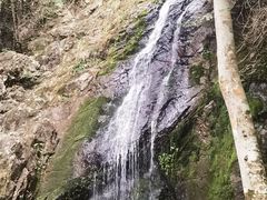 -江西阳明山国家森林公园