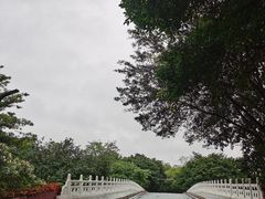 -海珠湖公园