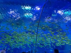 -上海海昌海洋公园