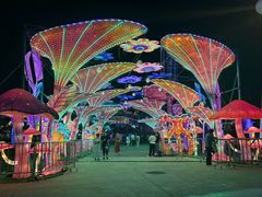 -第35届青岛国际啤酒节