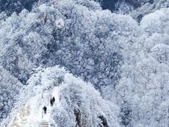 -老君山风景名胜区