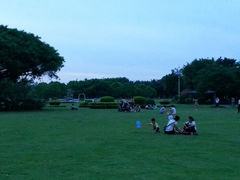 android_upload_pic-万绿园