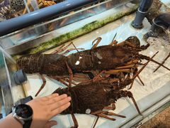 -万龙洲海鲜(南新仓店)