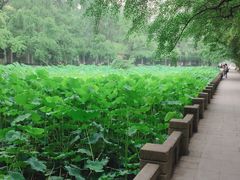 -四川大学(华西校区)